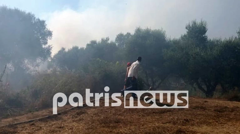 Φωτιά σε αγροτοδασική έκταση στην Ηλεία