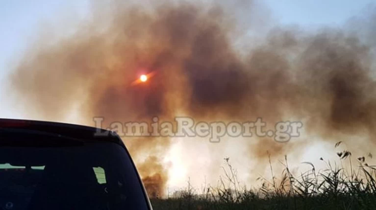 Φωτιά κοντά σε κατοικημένη περιοχή στη Φθιώτιδα