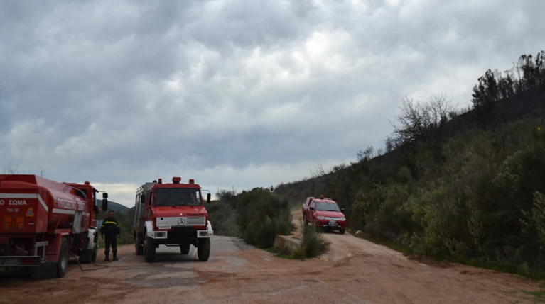 Φωτιά στην Κλάκοβα Μεγαλόπολης, επιχειρούν πέντε αεροσκάφη