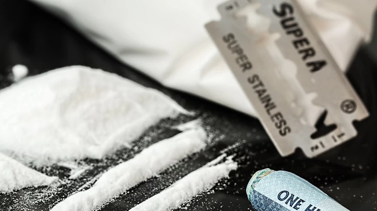 Η σόγια ήταν φορτίο-μαμούθ κοκαΐνης 1 δισ. ευρώ - Κατασχέθηκε στο Αμβούργο