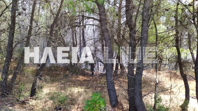 Σε πλήρη εξέλιξη η φωτιά στην Αρχαία Ολυμπία: Στάχτη 70 στρέμματα