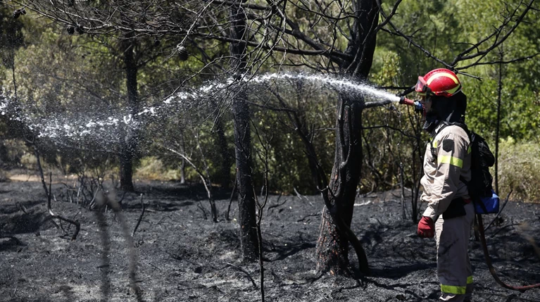 Φωτιά στον Διόνυσο – Έσβησε η φωτιά στα Δικαστικά στον Μαραθώνα