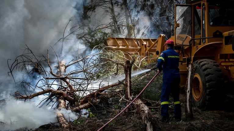 Φωτιά στην περιοχή Ανεμοχώρι στην Ηλεία - Στάχτη 20 στρέμματα
