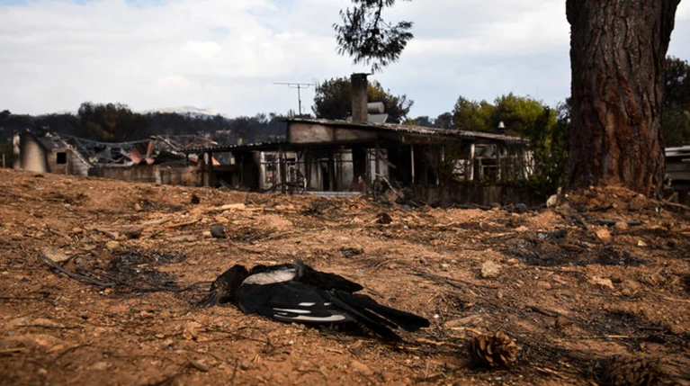 Διευρυμένη συνάντηση για την αποκατάσταση σε Μάτι και Ραφήνα