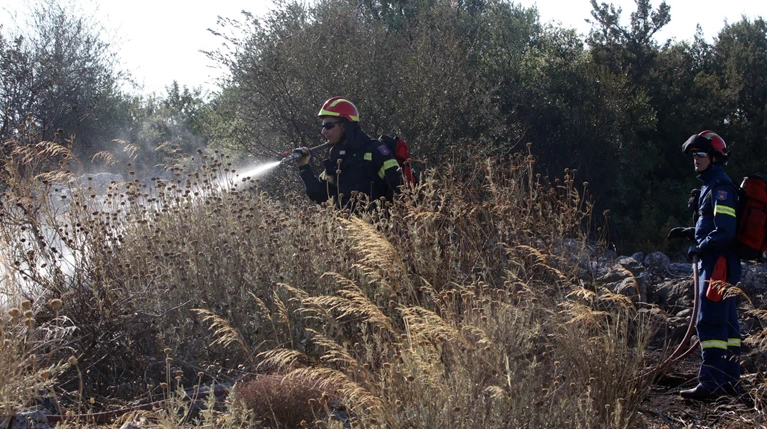 Κεφαλονιά: Δασική πυρκαγιά μόλις 2 χιλιόμετρα από το αεροδρόμιο