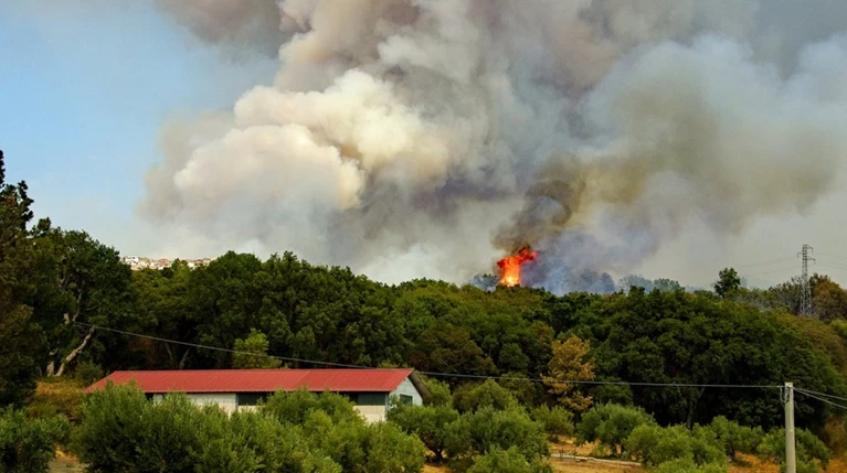 Τρεις νέες φωτιές σε Μεσσηνία και Αρτα - Μεγάλη επιχείρηση