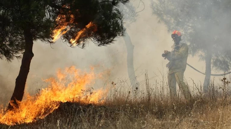 Χρυσοχοΐδης: Ξέσπασαν 1.302 πυρκαγιές από τις 15 Ιουλίου
