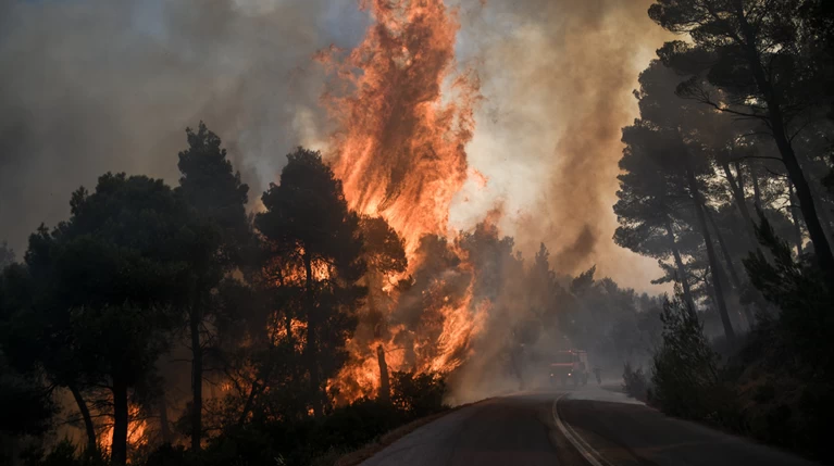 Σε ασφαλές σημείο στα Ψαχνά οι 300 κάτοικοι από Μακρυμάλλη & Κοντοδεσπότι