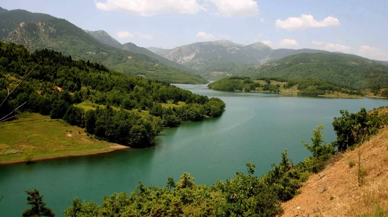 Τα 19 αισθητικά δάση της χώρας-Τι είναι αισθητικό δάσος (εικόνες)