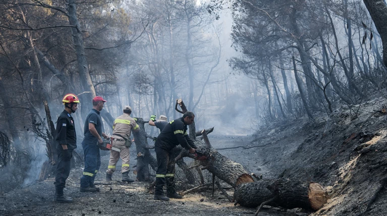Τεράστια οικολογική καταστροφή, μάχη με τις αναζωπυρώσεις στην Εύβοια