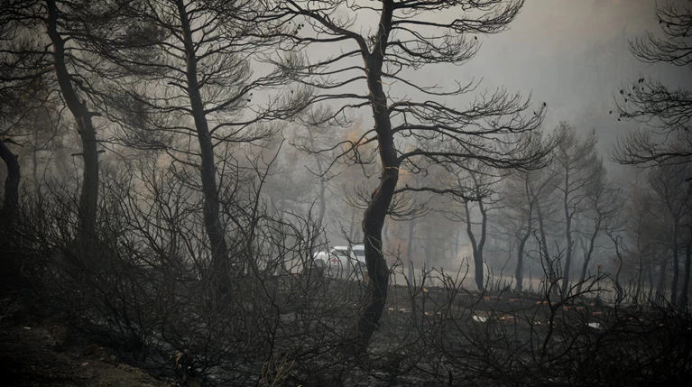 Πολύ υψηλός κίνδυνος πυρκαγιάς και ανήμερα του Δεκαπενταύγουστου