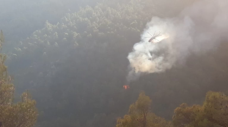 Φωτιά Εύβοια: Στο μέτωπο του χωριού Πλατανιά εστιάζουν τις προσπάθειες