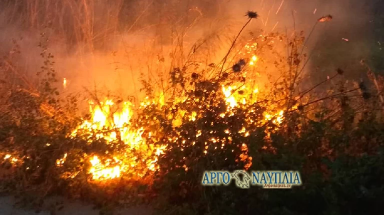Φωτιά στη Νέα Κίο με δύο εστίες (βίντεο)