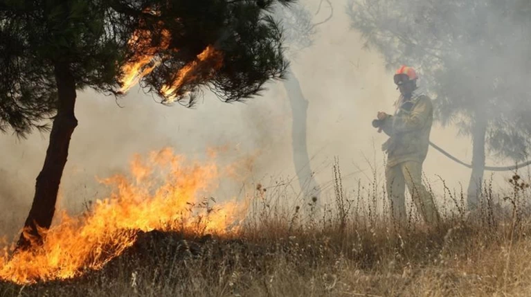 Προσαγωγή ενός άνδρα για τις φωτιές στην Ηλεία