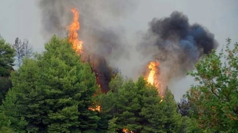 Στο «κόκκινο» για πυρκαγιά σε 6 περιφέρειες της Ελλάδας
