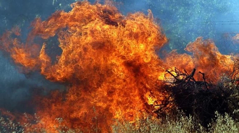 Αλεξανδρούπολη: Μεγάλη φωτιά κοντά σε οικισμό στην Καβησό