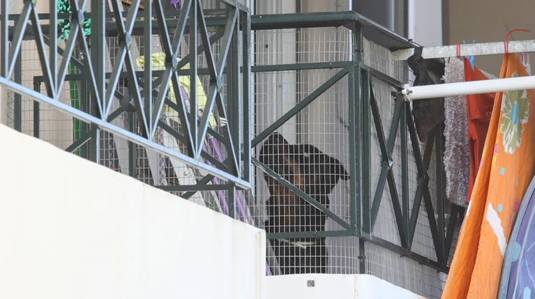 Τραγωδία στα Γλυκά Νερά: Συγκλονίζει το ιατρικό ανακοινωθέν