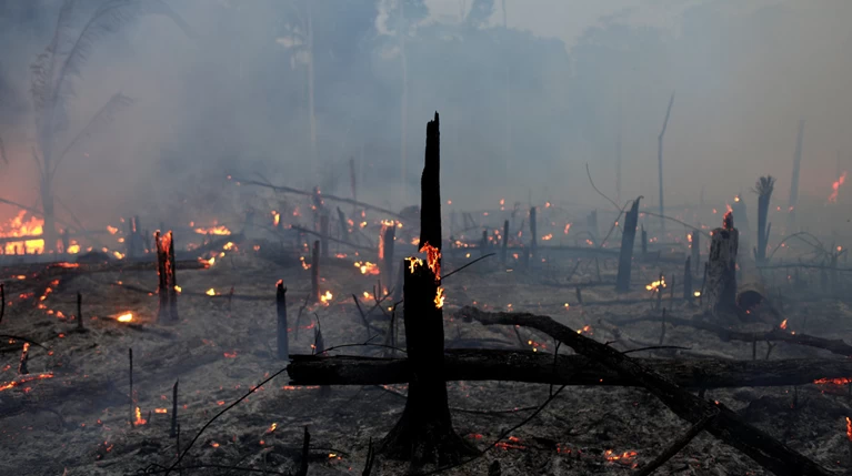 Η καταστροφή του Αμαζονίου όπως την είδε ο κινηματογράφος