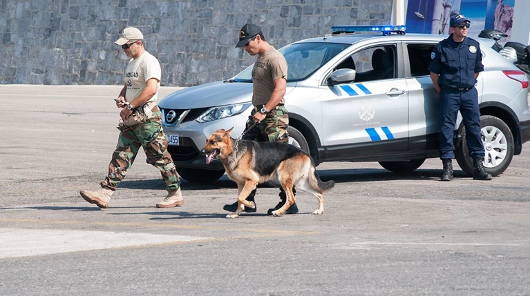 Απανθρακωμένο πτώμα άγνωστου άνδρα σε αυτοκίνητο στη Ρόδο