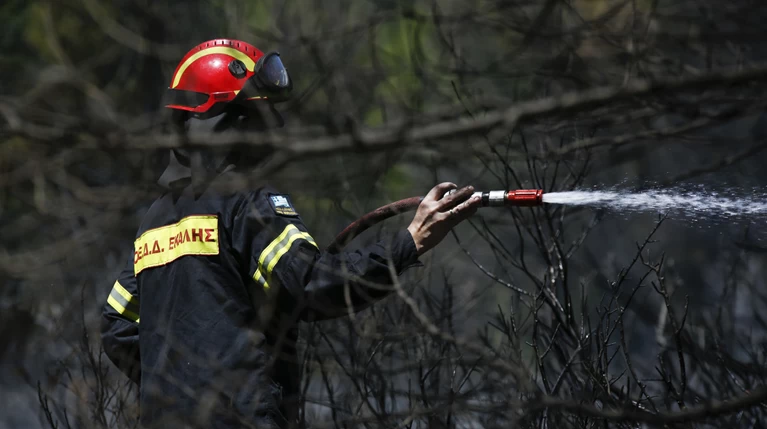 Σε ύφεση η φωτιά στην περιοχή Φλόκα της δυτικής Αχαΐας