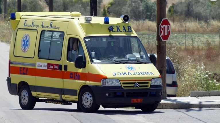 Σέρρες: 9χρονο αγοράκι δέχθηκε επίθεση από τρία σκυλιά