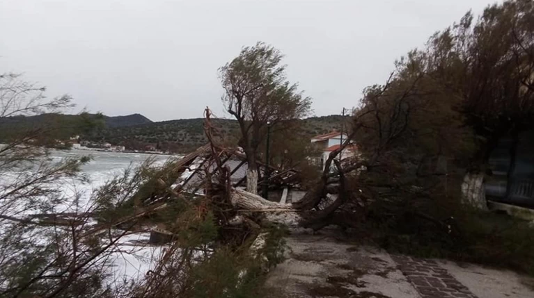 Μυτιλήνη: Τεράστιες ζημιές από την κακοκαιρία