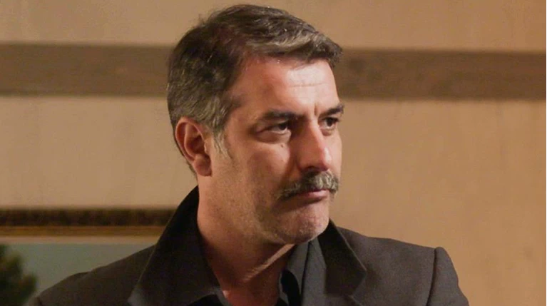 ΑΓΡΙΕΣ ΜΕΛΙΣΣΕΣ