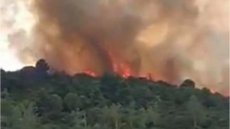 Synagermos Sthn Pyrosbestikh Megalh Fwtia Sth Messhnia Eikones Binteo Ellada Eidhseis