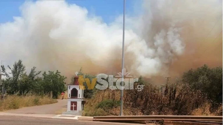 ΦΩΤΙΑ ΑΜΦΙΣΣΑ