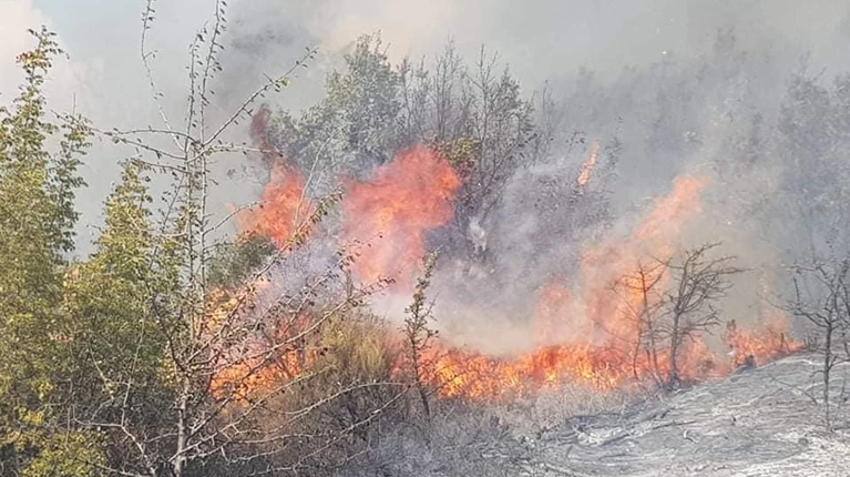 ΦΩΤΙΑ ΣΤΟΝ ΕΒΡΟ