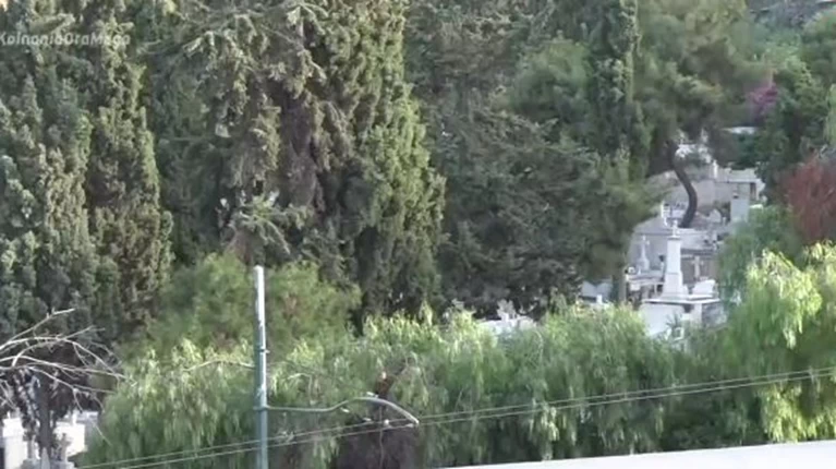 Α Νεκροταφείο