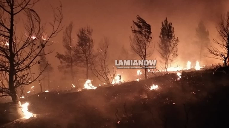Φωτιά στο Μαρτίνο