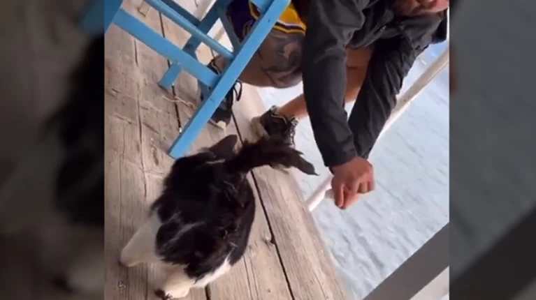 Αιδηψός