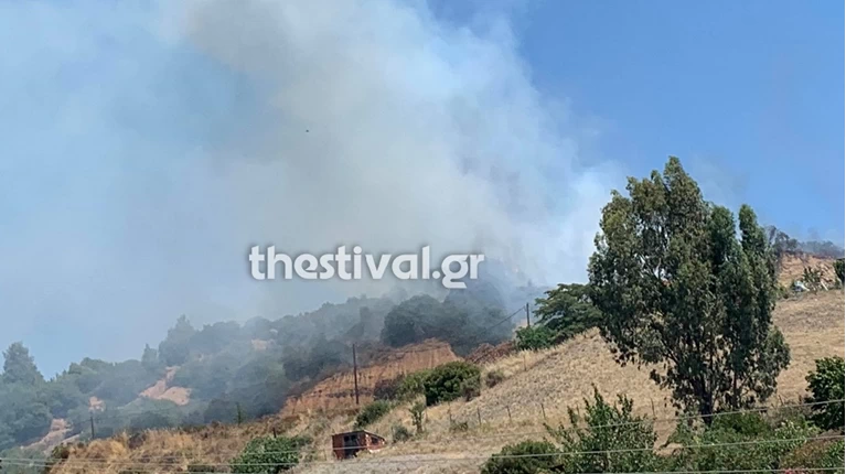Νικητή