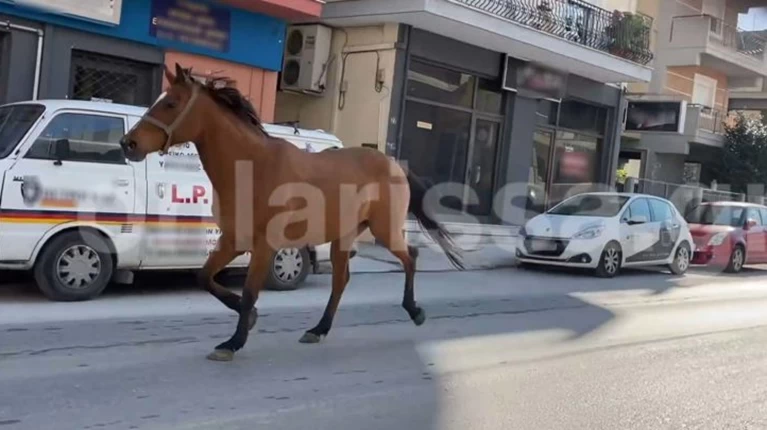 Λαρισα Κεντρο, Elegxomenh Sta8meysh Sto Kentro Ths Larisas Radio Polis 99 4 Larisa - Η κυρία βούλα μαραγκού σάς καλωσορίζει στο κέντρο αισθητικής που διατηρεί στη λάρισα, από το 1984 έως σήμερα.