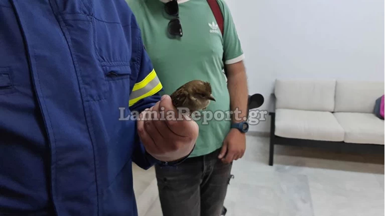 Σπουργίτι