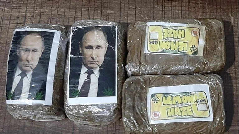 Κάνναβη Πούτιν