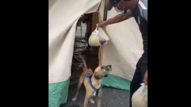 Ρίκο