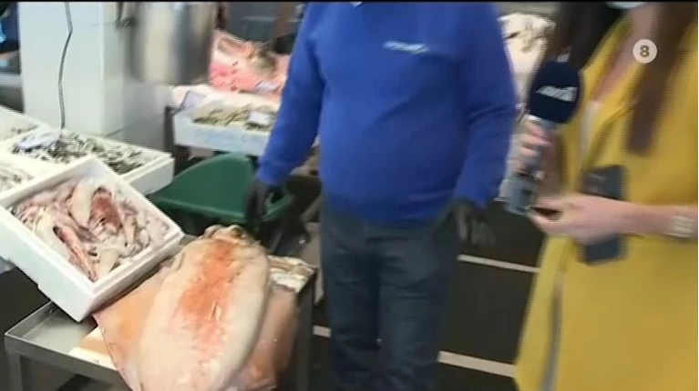 Καλαμάρι