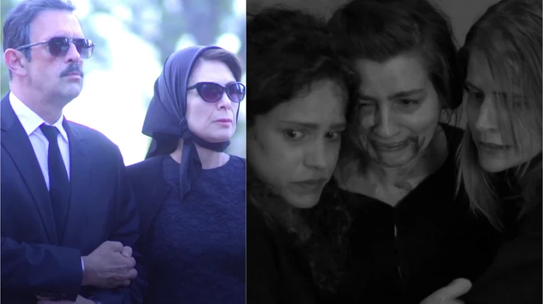 αγριες μελισσες
