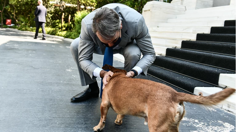 Μητσοτάκης σκυλος