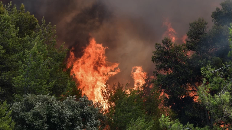 Nea Fwtia Sth Xalkidikh Kaigetai Dasos Sth Boyrboyroy Binteo Ellada Eidhseis Nea Fwtia Sth Xalkidikh Kaigetai Dasos Sth Boyrboyroy Binteo Ellada Eidhseis