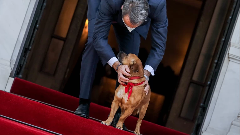 Πίνατ Μαξίμου