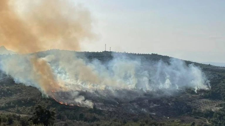 Καλαμος