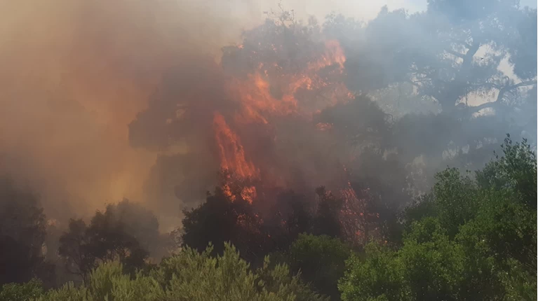 Φωτιά Έβρος