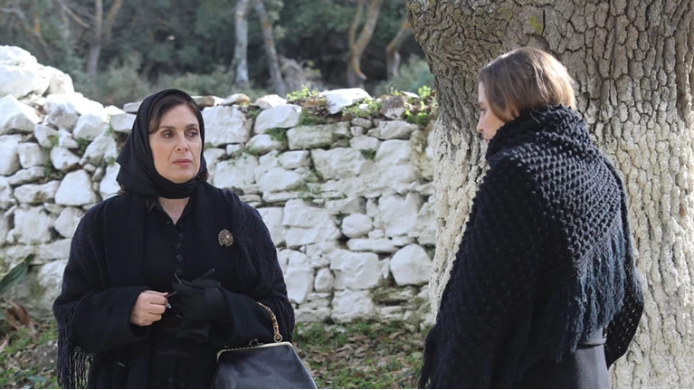 άγριες μέλισσες