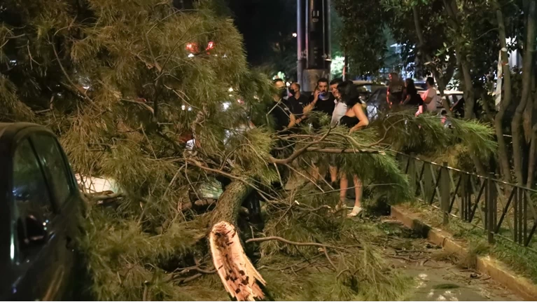 πτώση δέντρου